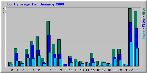 Hourly usage for January 2009